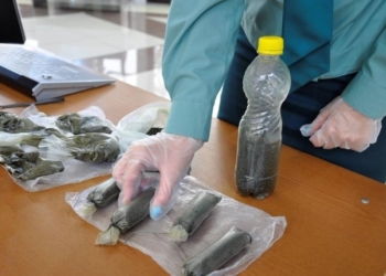 54 узбекистанца задержаны в Чите за незаконный ввоз насвая