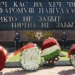 Эмомали Рахмон почтил память погибших в Великой Отечественной войне