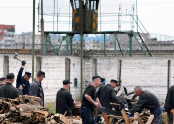 В России предложили заменить трудовых мигрантов заключенными