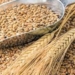 Парламентский Совет обсудил поправки в закон «О зерне и продуктах его переработки»