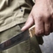 Житель Рудаки подозревается в попытке убийства родственников жены