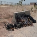 Более 130 афганских военнослужащих отступили в Таджикистан после натиска талибов