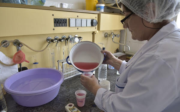 Вопросы производства и потребления безопасных пищевых продуктов обсудили в Таджикистане