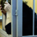 В Шахринаве невестка, убившая свекровь из-за продуктов, приговорена к 9 годам