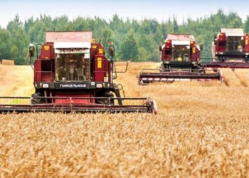 Объем производства сельхозпродукции в Таджикистане составил 12 млрд. 375,1 млн. сомони