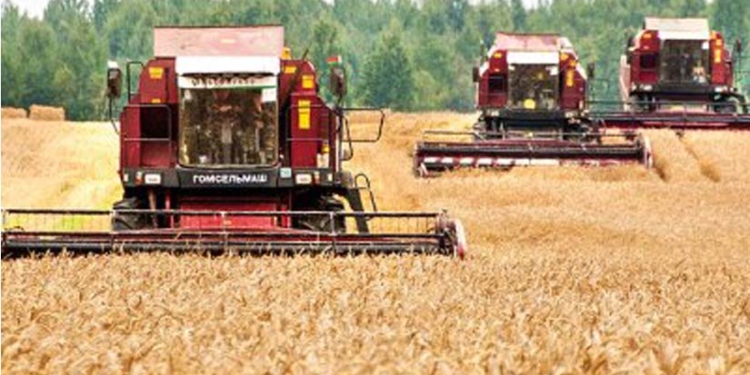 Объем производства сельхозпродукции в Таджикистане составил 12 млрд. 375,1 млн. сомони