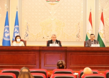 Новую рамочную программу ООН по сотрудничеству в области устойчивого развития обсудили в Душанбе