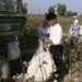 В Таджикистане собрано около 50 тыс. тонн хлопка