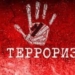 Что представляет из себя террористическая организация ФЕТО?