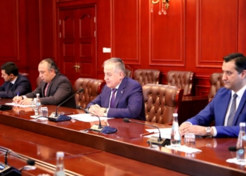 Глава МИД рассказал председателю ПА ОБСЕ о тревожной ситуации на таджикско-афганской границе  