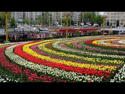 Мэр Душанбе учредил конкурс «Душанбе – город цветов»