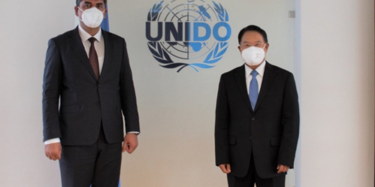 Вопросы реализации проектов UNIDO в Таджикистане обсуждены в Вене