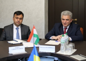 Таджикистан и Украина обсудили перспективы сотрудничества