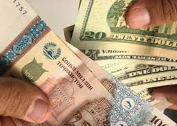 В первом полугодии  из России в Таджикистан переведено более $752 млн.
