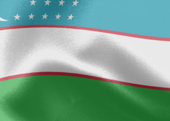 Миссия наблюдателей от СНГ: Избирательная кампания в Узбекистане проходит в спокойной атмосфере