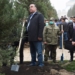 Эмомали Рахмон посадил редкое дерево в саду строящейся площади «Истиклол»