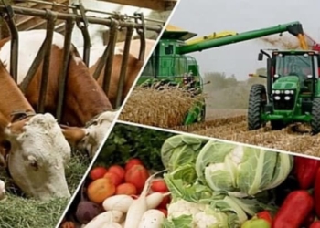 Объем валовой сельхозпродукции Таджикистана составил около $3 млрд.