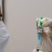 ВОЗ рекомендовала к применению в экстренных ситуациях восьмую вакцину от COVID-19