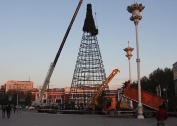 В Душанбе на главной площади устанавливают новогоднюю елку (Видео)