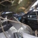 В Душанбе дерево обрушилось на автомобиль. Никто не пострадал