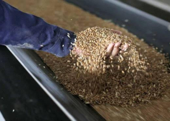 Мировые цены на продовольствие достигли нового максимума