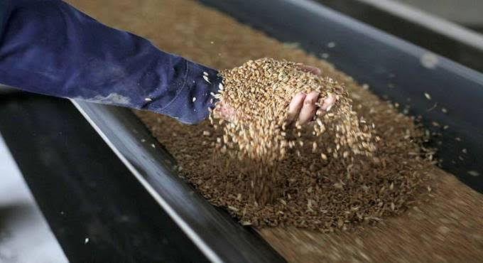 Мировые цены на продовольствие достигли нового максимума