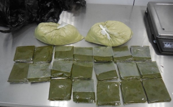 В Калининградском аэропорту у граждан Таджикистана изъято около 230 кг насвая