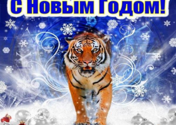 С Новым годом, дорогие друзья!