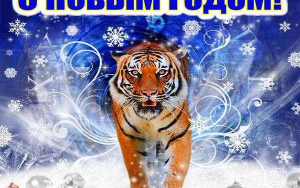 С Новым годом, дорогие друзья!