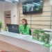 Хатлон знакомится с сервисом в стиле «эко»