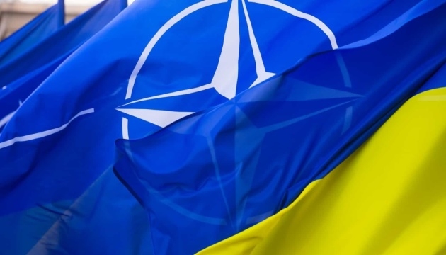 Угроза России направлена не только против Украины, но и против всей Европы – ПА НАТО