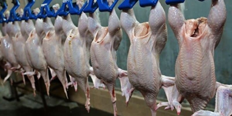 Таджикистан более чем в 20 раз снизил импорт птичьего мяса