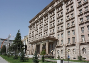Таджикистан готов участвовать в миротворческой деятельности ОДКБ в Казахстане, — МИД