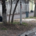 МВД Казахстана сообщает о задержании более 7,9 тыс. человек