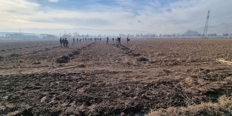 ТИКА создает интенсивный сад в Гиссаре для студентов Таджикского аграрного университета