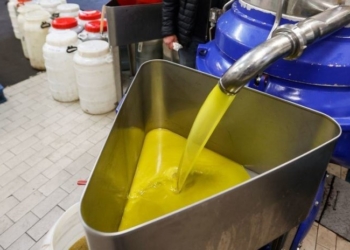 ФАО: в январе поднялись цены на продовольствие