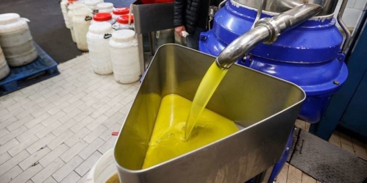 ФАО: в январе поднялись цены на продовольствие