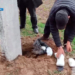 В Узбекистане задержаны наркотики, завезенные из Таджикистана
