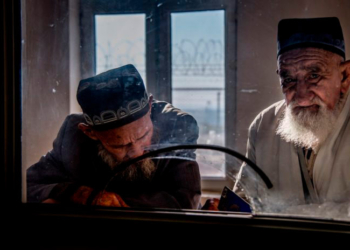 Численность пенсионеров в Таджикистане по состоянию на 1 января составила более 749,8 тыс. человек