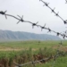 На таджикско-киргизской границе произошел очередной инцидент, который был оперативно улажен