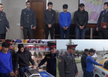 В Яване задержаны серийные воры
