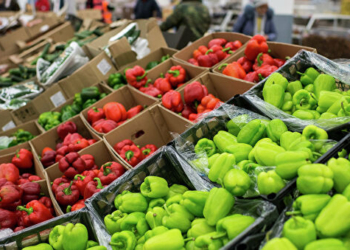 Объем производства сельхозпродукции в Таджикистане увеличился на 9,8%