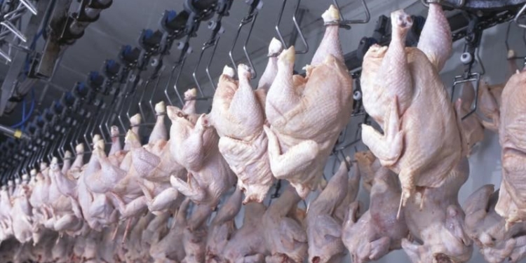 В Таджикистане производство «курятины» увеличилось на 44%
