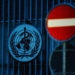 Таджикистан проголосовал против переноса за пределы России офиса ВОЗ