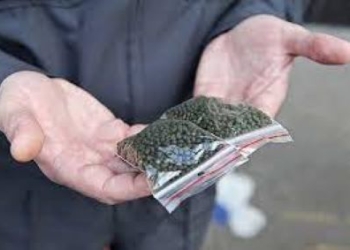 В Госдуме призвали включить насвай в перечень наркотических веществ