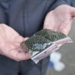 В Госдуме призвали включить насвай в перечень наркотических веществ