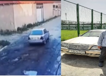 В Душанбе оштрафовали водителя, сбившего собаку