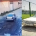 В Душанбе оштрафовали водителя, сбившего собаку