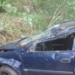 В Истаравшане автомобиль врезался в дерево. Водитель погиб, пассажиры получили ранения