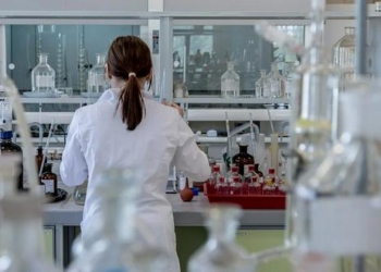 Казахстанские ученые готовы создать вакцину от оспы обезьян